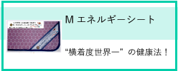 ミンクル_Mエネルギーシート